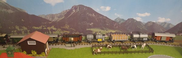 Enfin un wagon plat M6 BUCO de couleur grise  et un nouveau wagon-citerne: