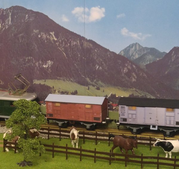 Nouvelle construction d’un wagon couvert FS rouge-brun, puis d’un deuxime wagon couvert FS gris