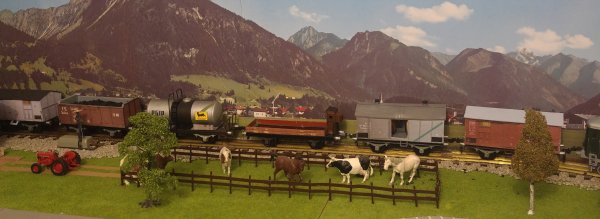 Les ultimes wagons de marchandises de mon rseau “Tin-Plate 0” (premire partie)